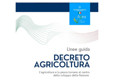 Linee guida Decreto Agricoltura - L'agricoltura e la pesca tornano al centro dello sviluppo della Nazione